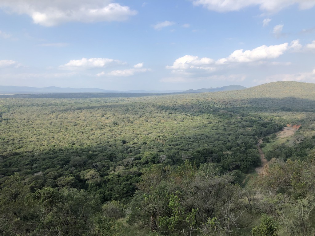 View From Leopard Mountain