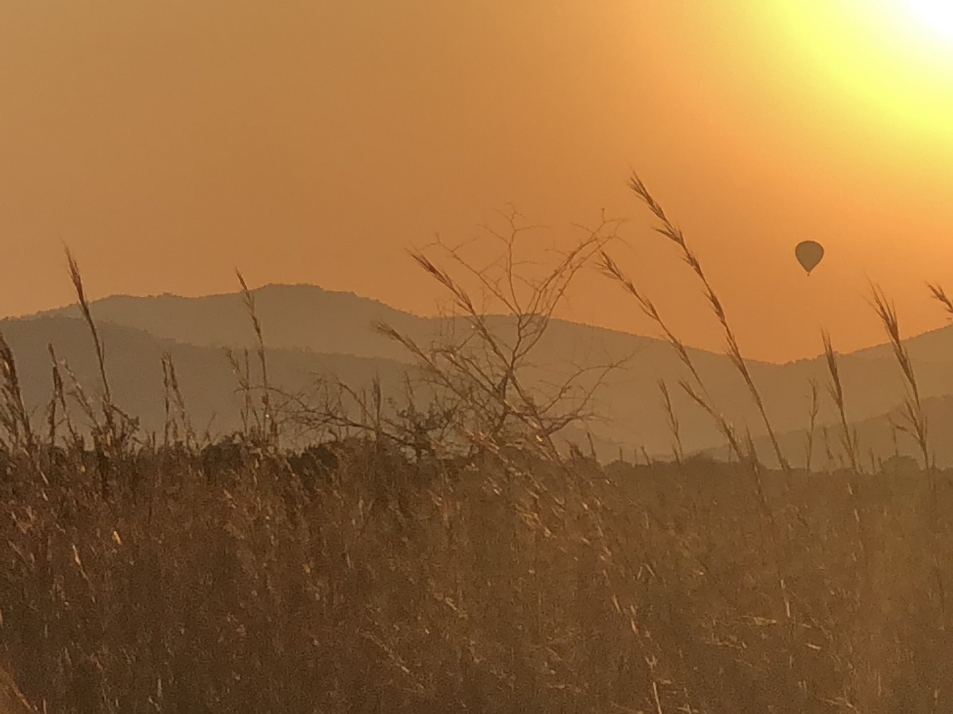 hot air Balloon sun rise