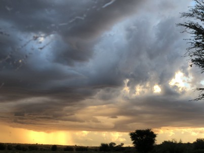Sunset in Kgalagadi